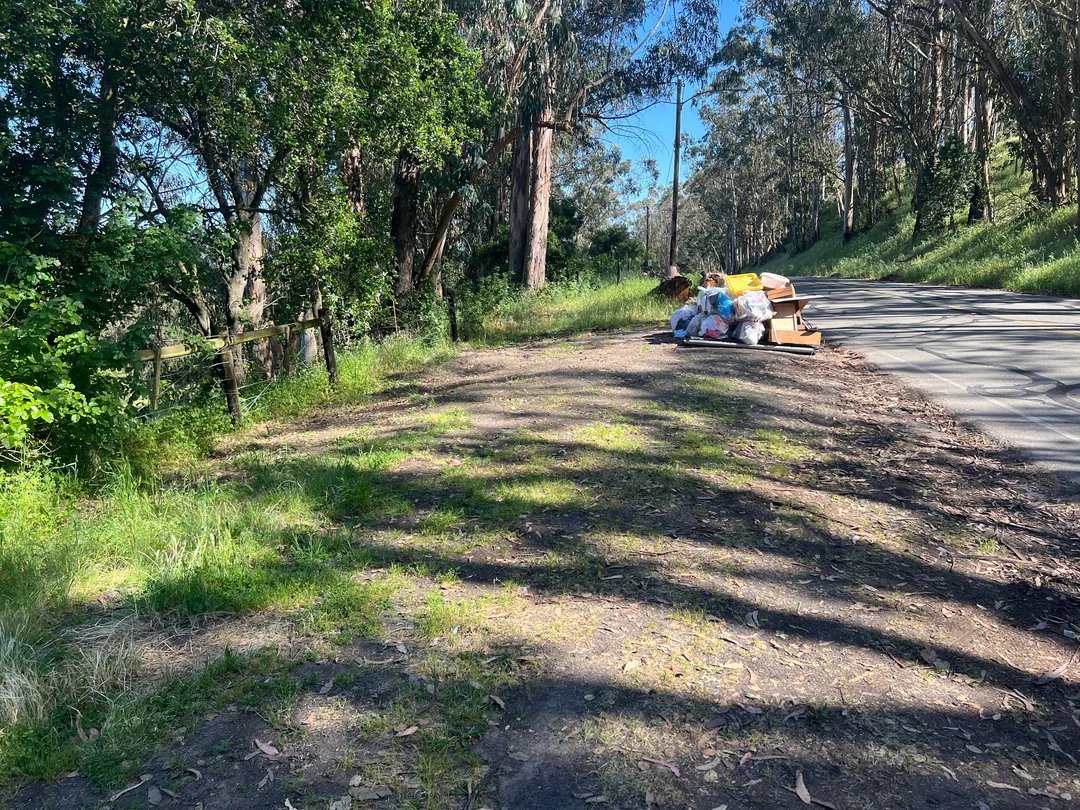 Roadside cleared and bagged after our junk removal crew's cleanup